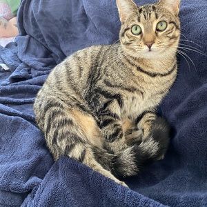 Meet your Posher, Charlene